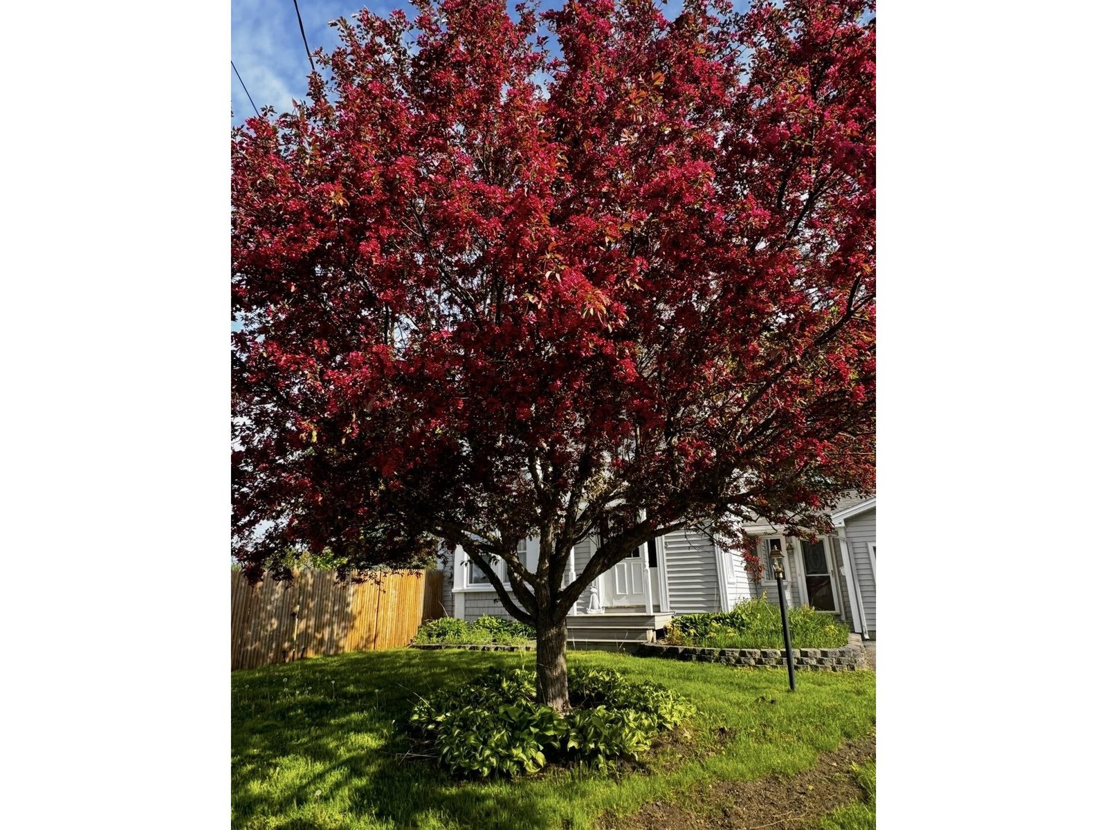 17 Northern Avenue