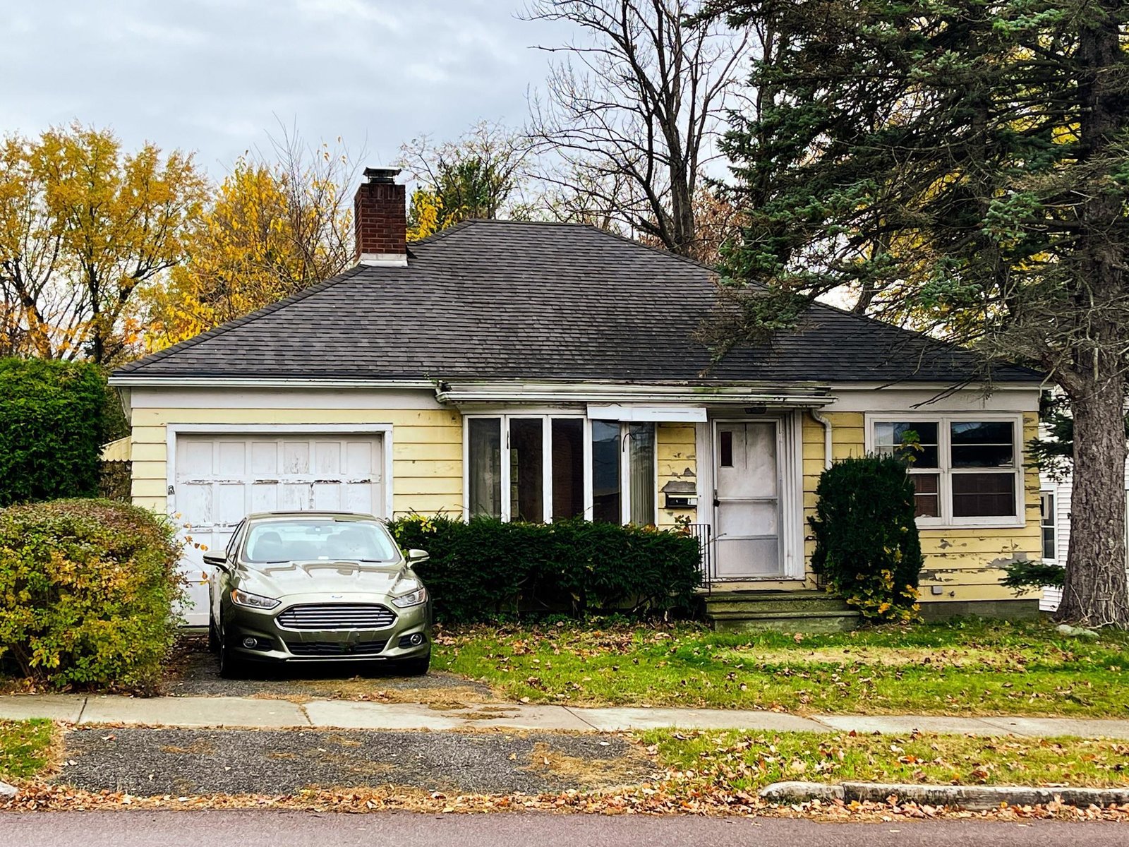 17 Proctor Avenue