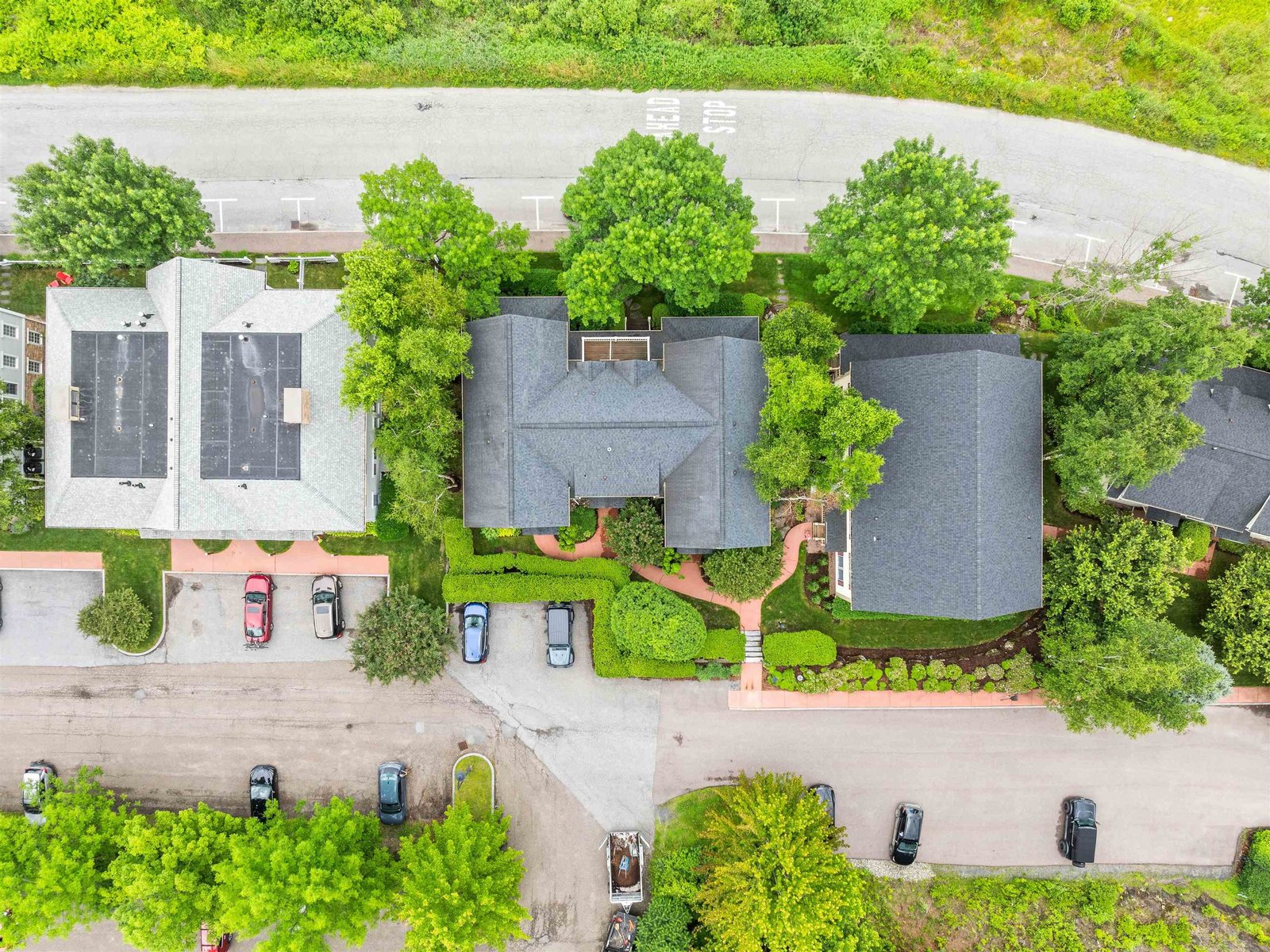 Aerial Photo with 170 Depot Street Unit On the Right