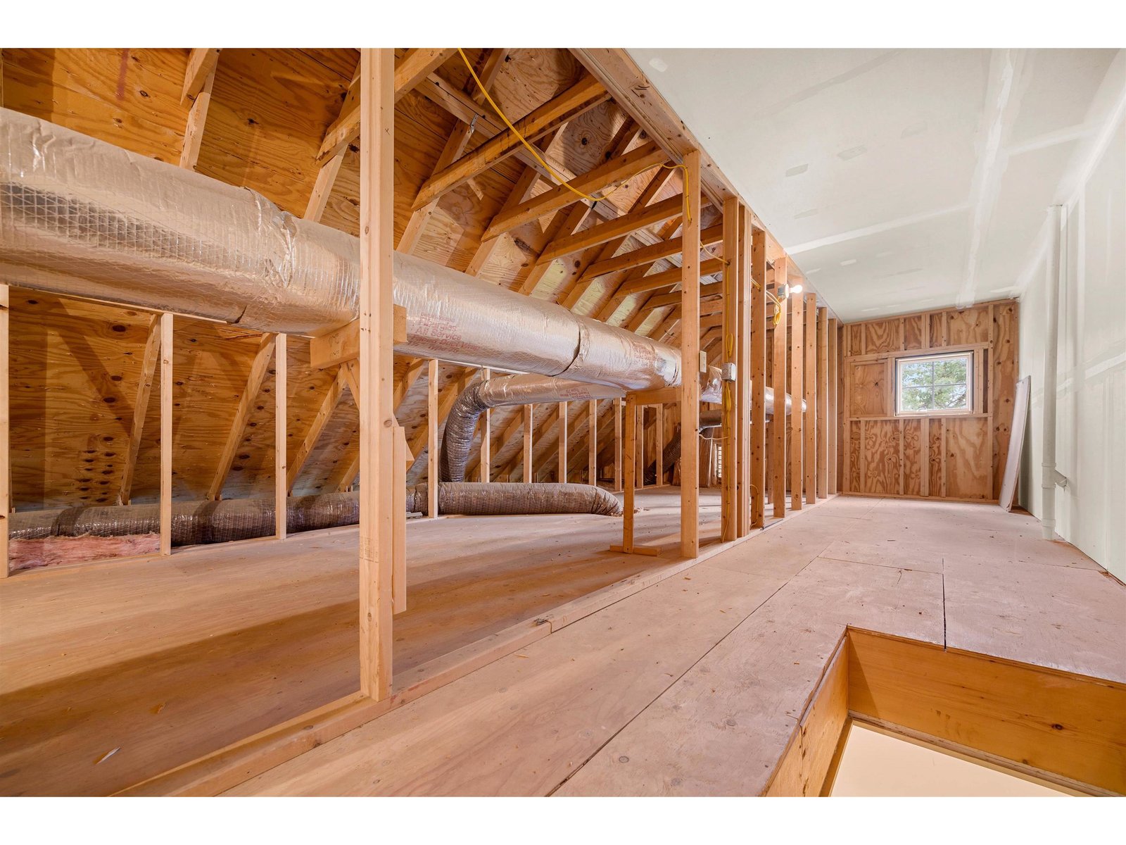 Attic Storage Area