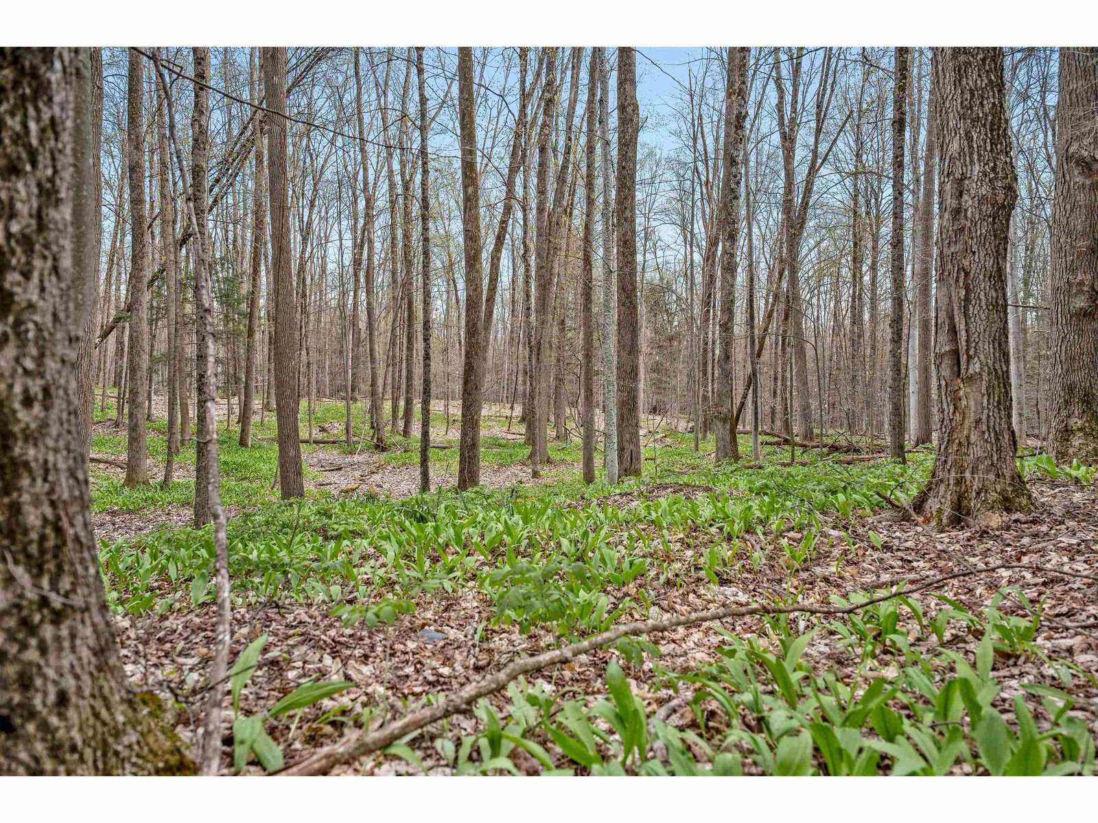170 Spring Hollow Lane