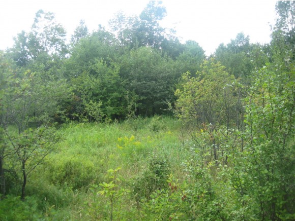 1700 Loop Road