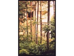 171 Cottage Club Road, Unit B203