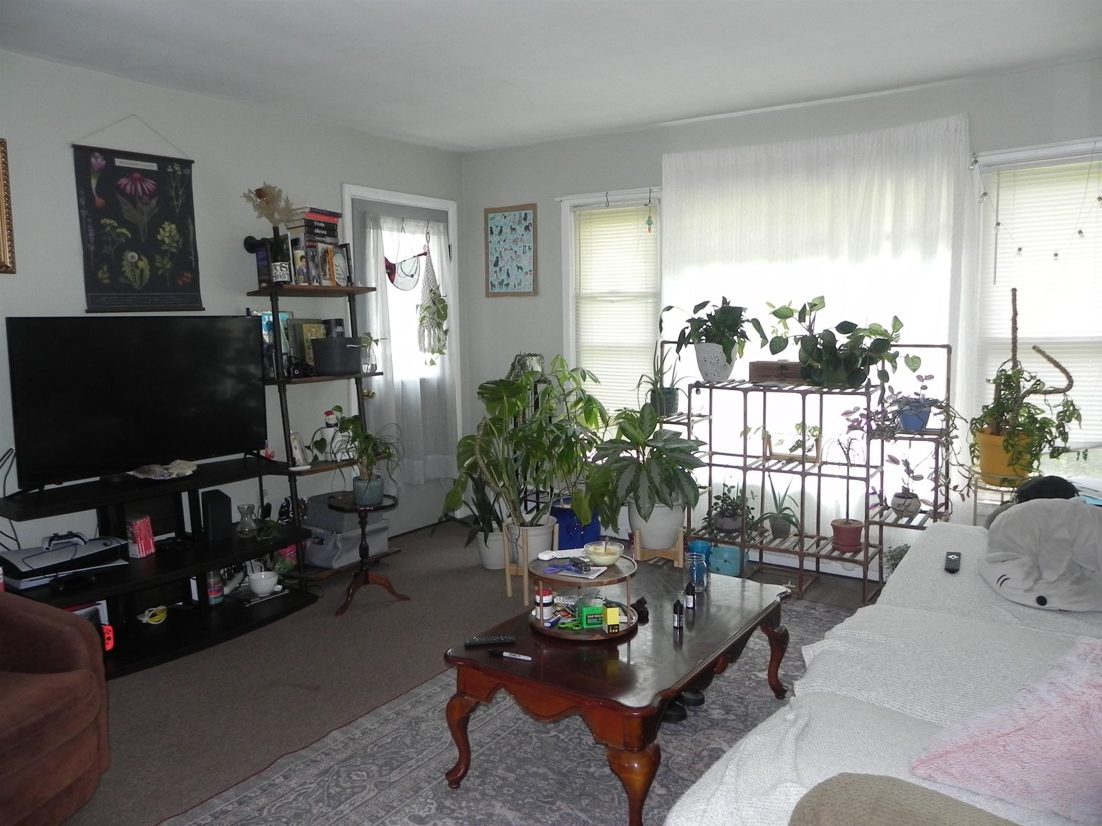 172 College Parkway