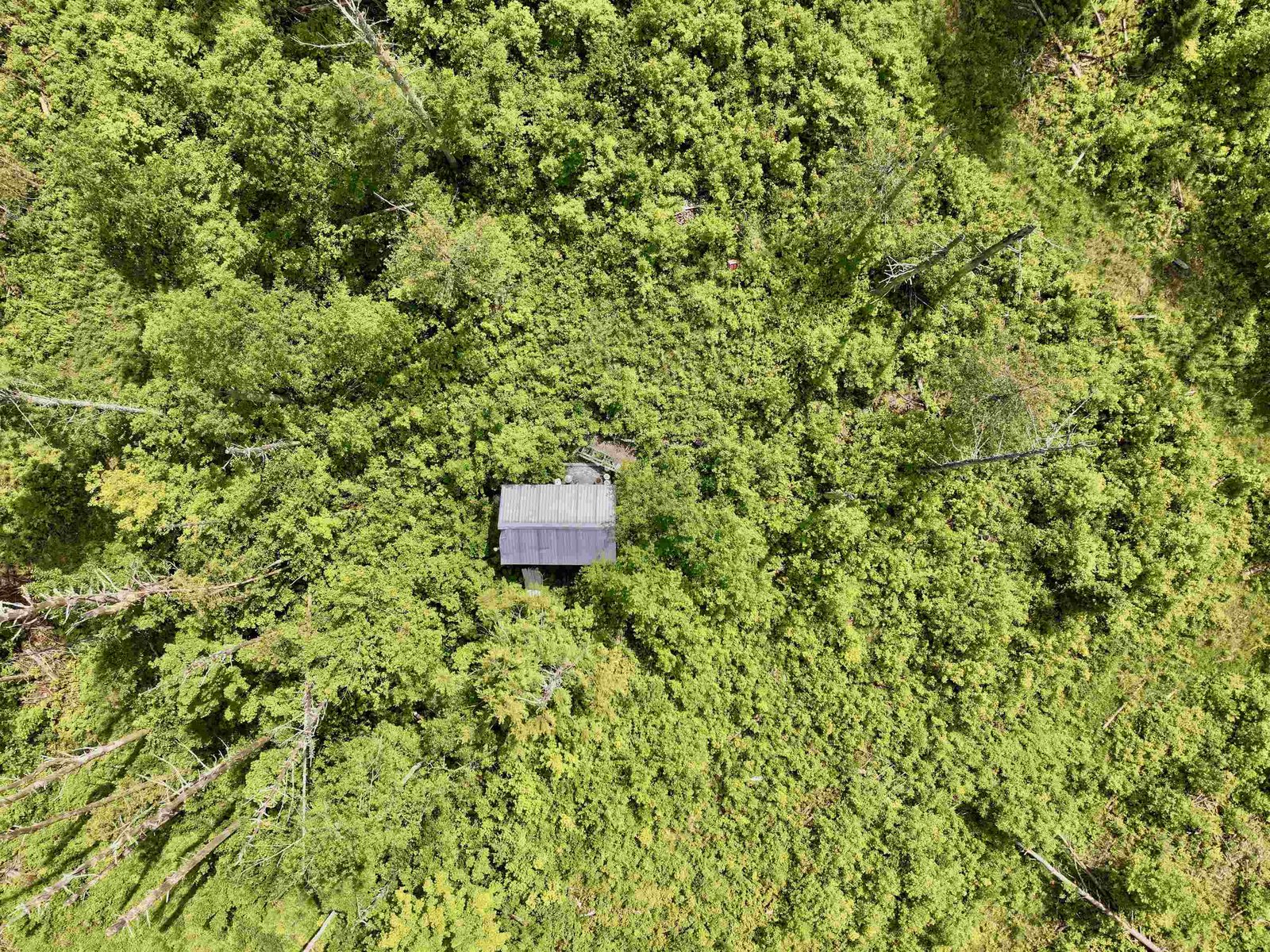 1723 Lightening Ridge Road