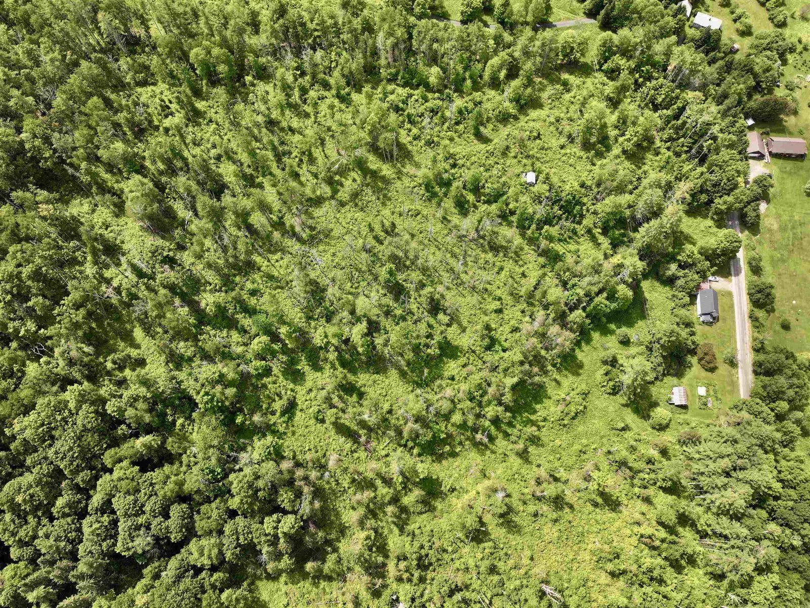 1723 Lightening Ridge Road