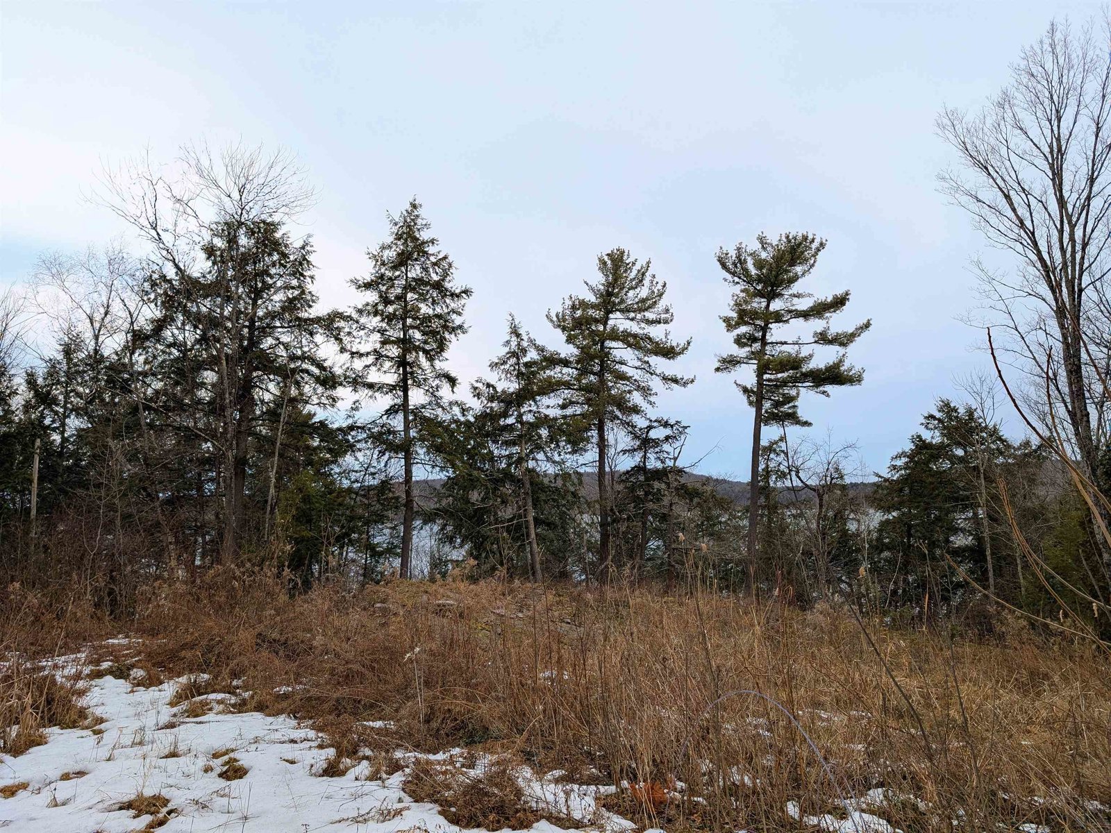 173 Basswood Ridge