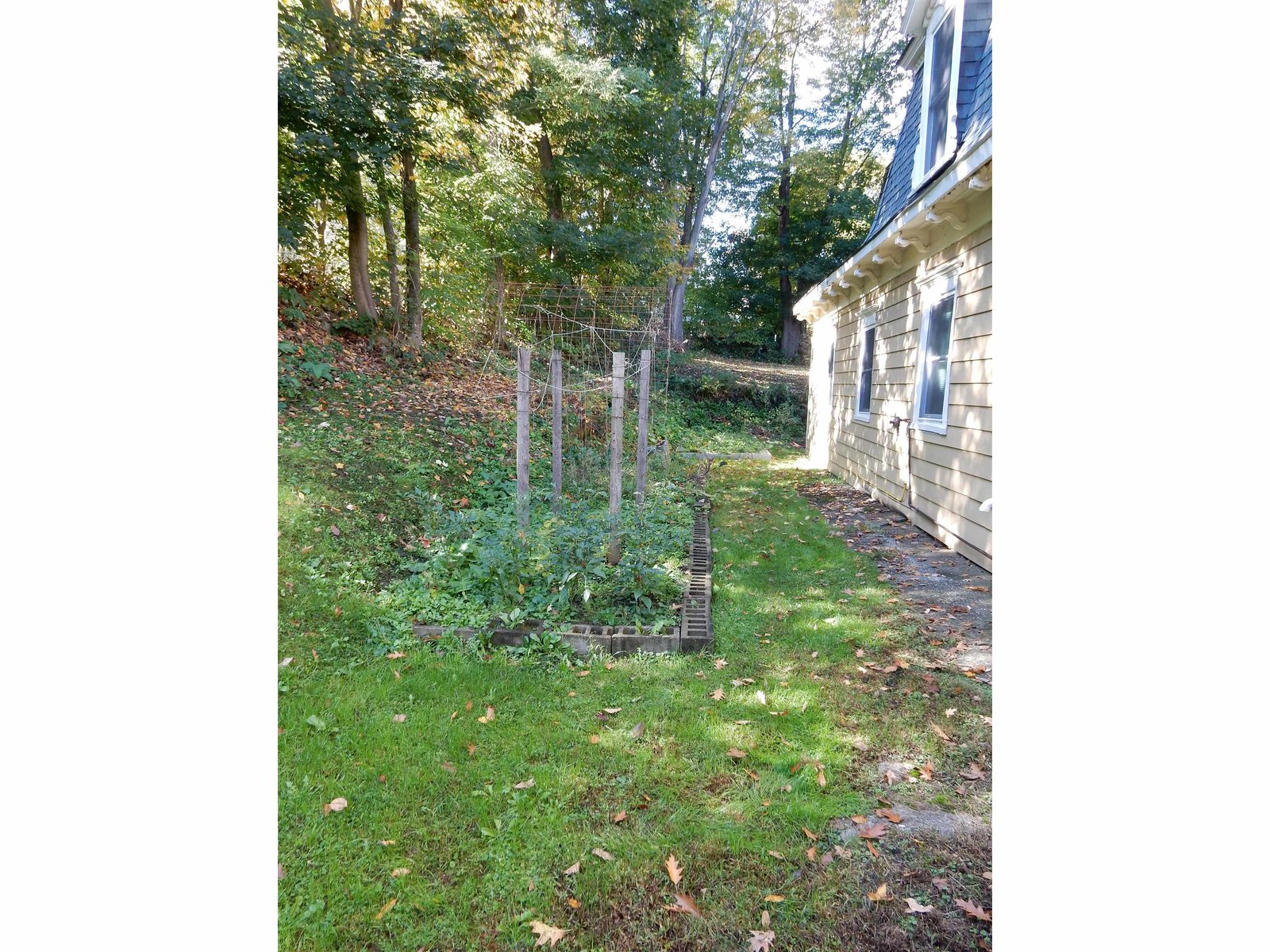 Side garden area