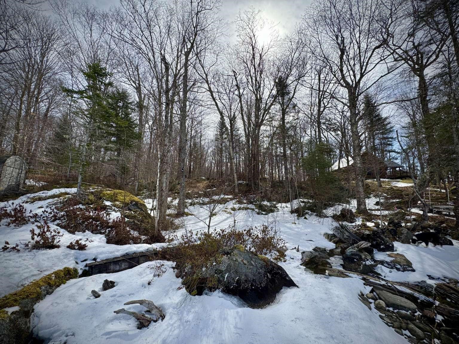 1744 Peacham Pond Road