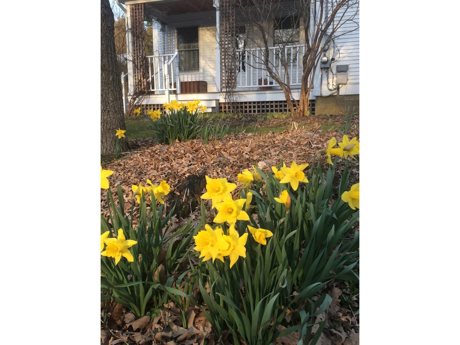175 Creamery Street