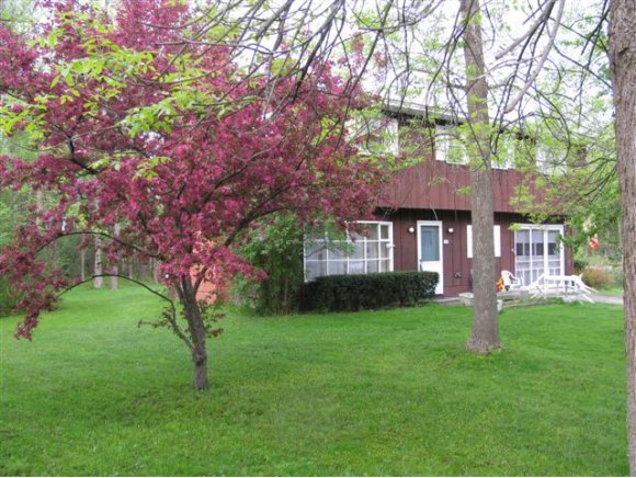 175 Lakeview Dr