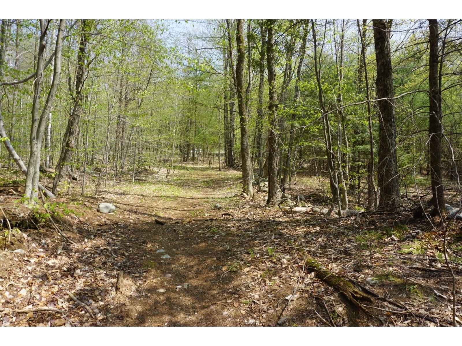 Homes for Sale in Bolton Bolton Vermont Real Estate