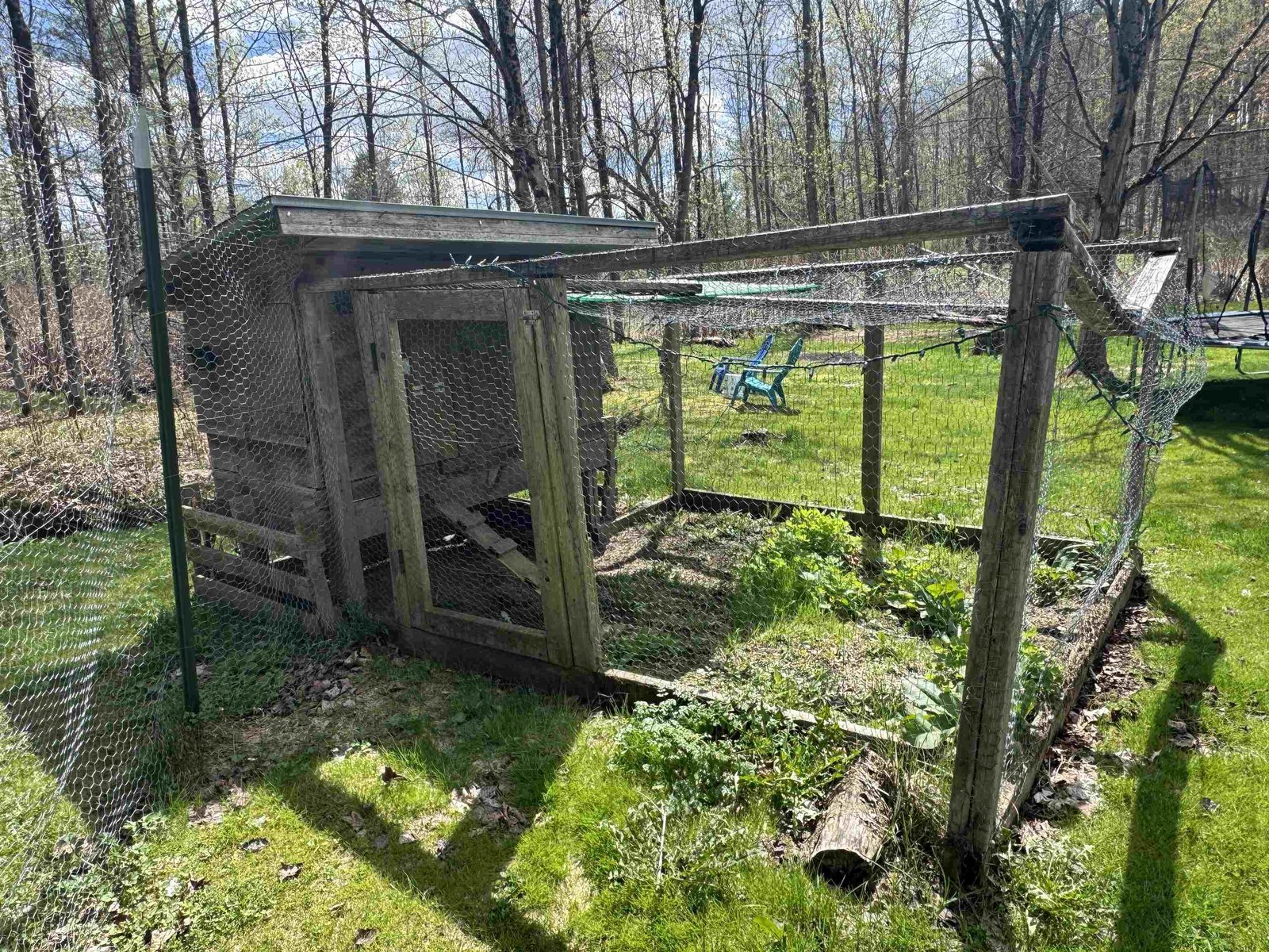 Chicken Coop