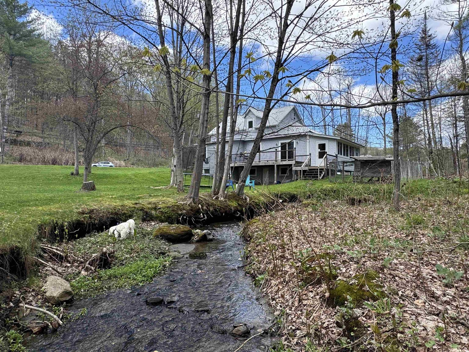 Crystal Clear Brook Along Edge of Property