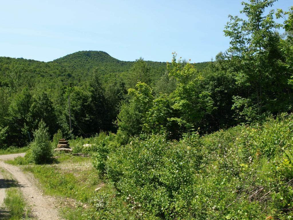 1767 Stevens Mill Road
