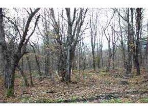 1769 NORTH HOLLOW ROAD