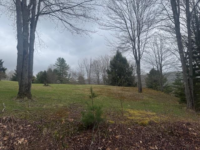 Lower lawn