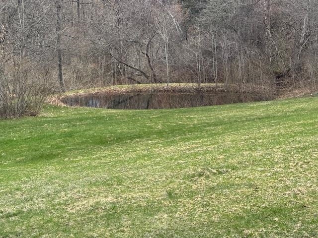 Pond