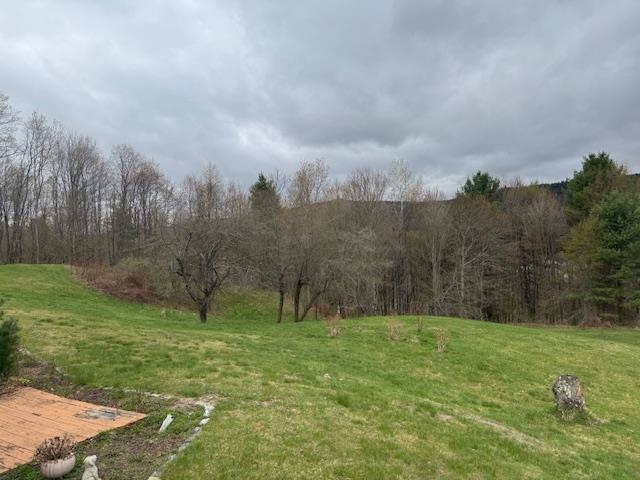 Apple trees