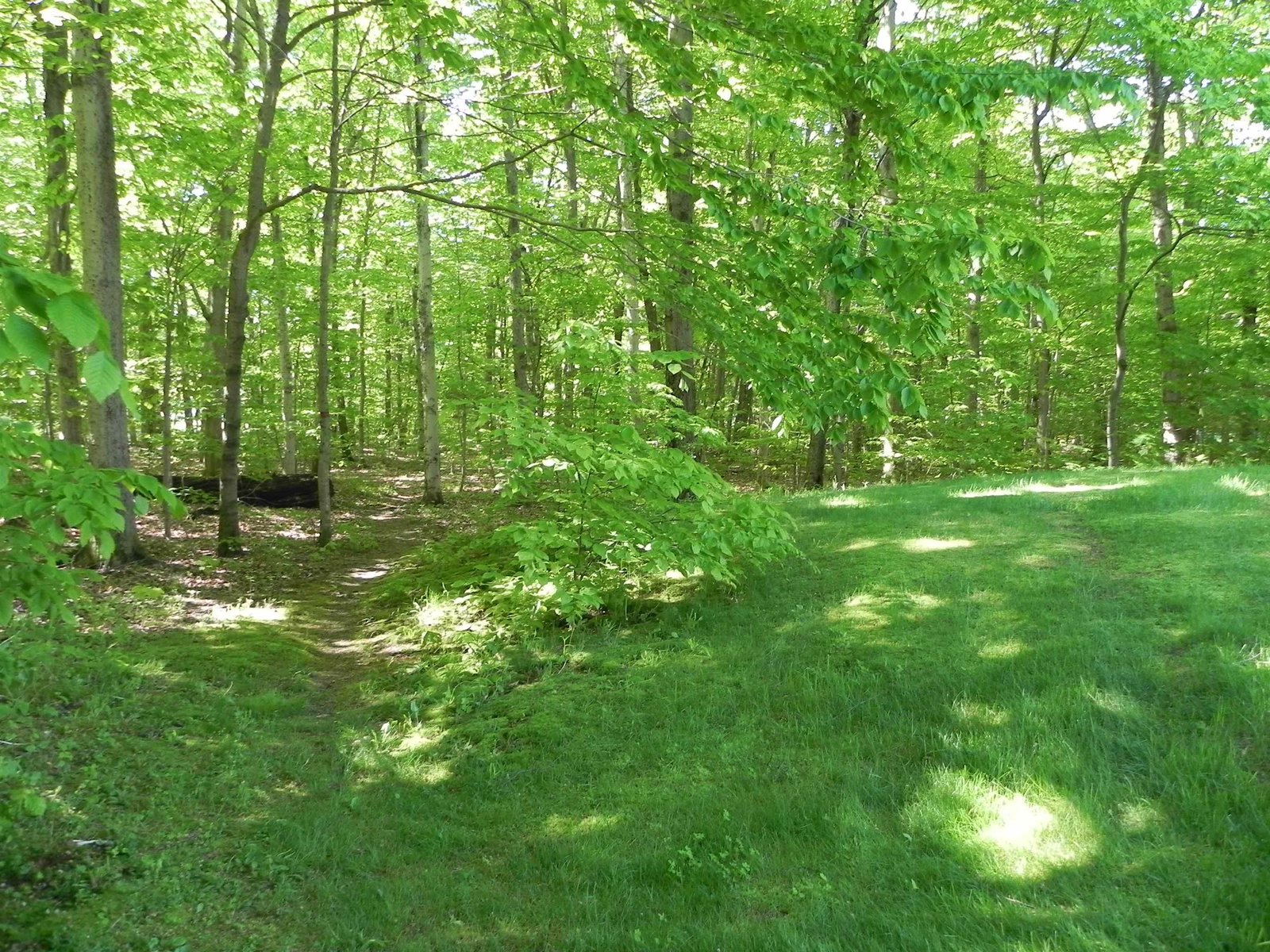 1782 Old Creamery Road