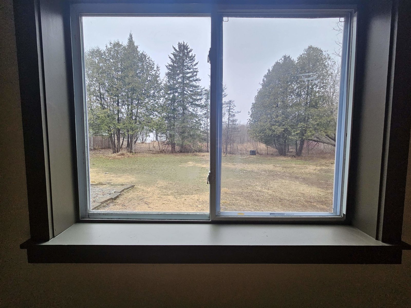 1st Floor Primary Bedroom - yard view