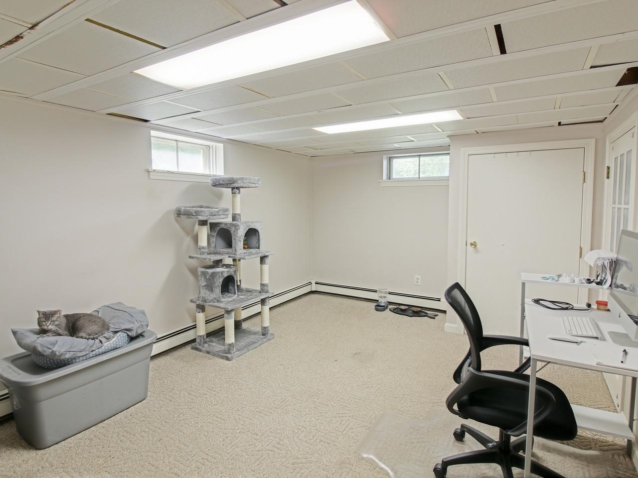 Office in Basement