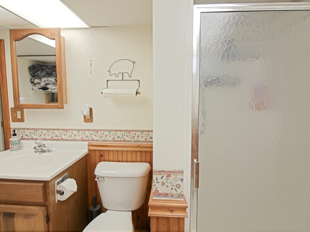 3/4 Bath in Basement