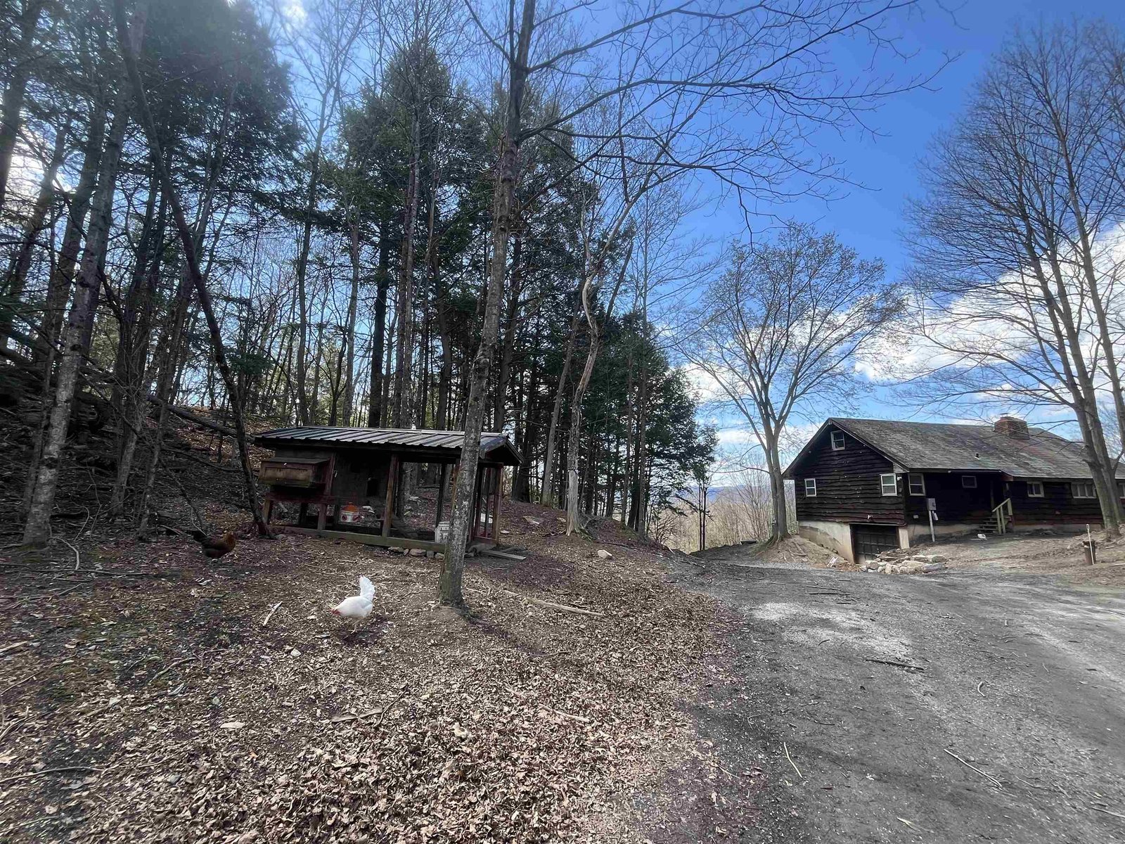 Driveway looking towards garage