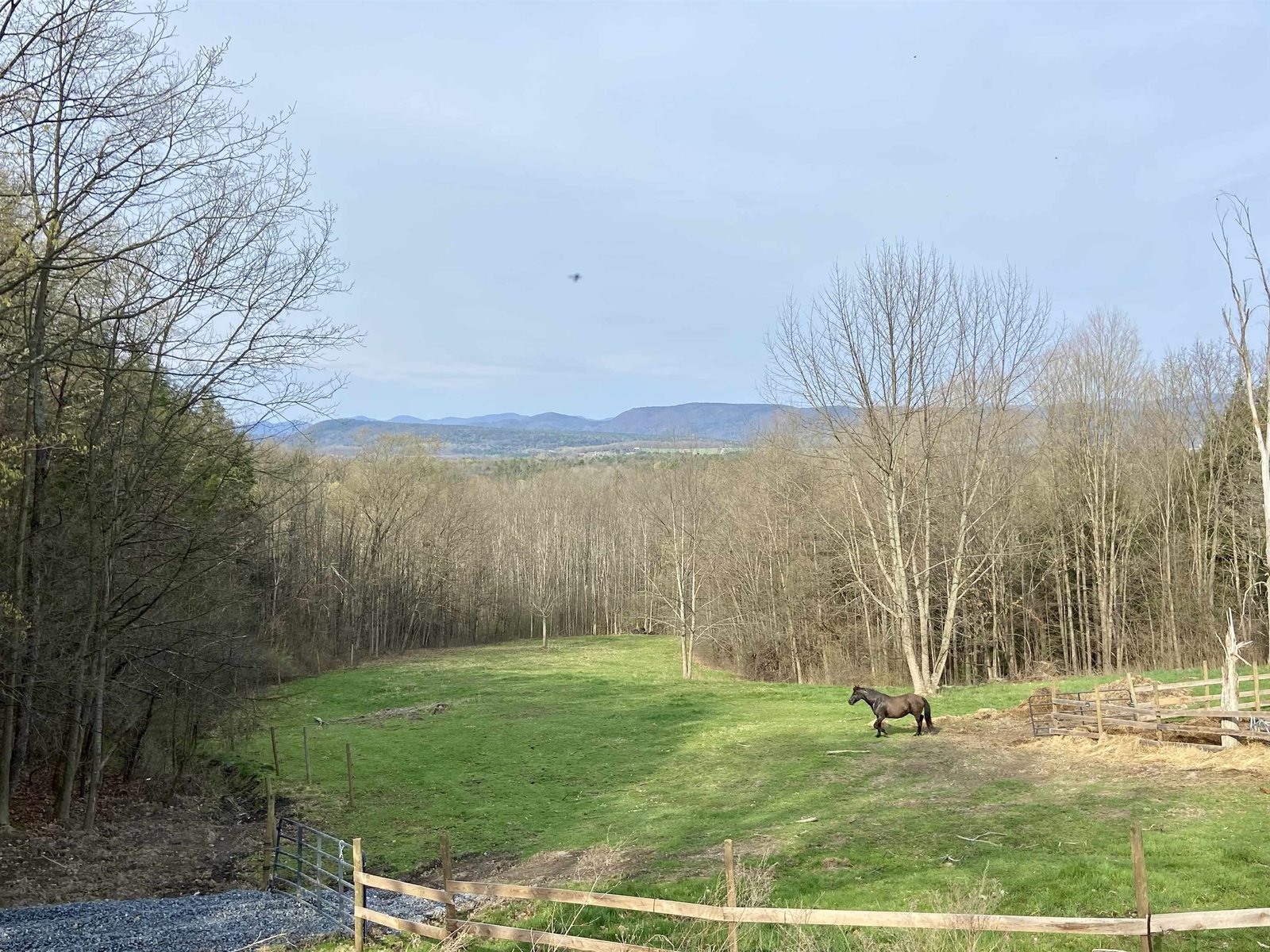 View from front porch