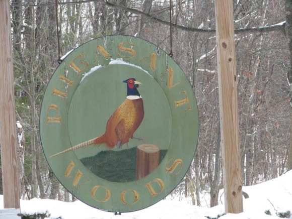 18 Pheasant Woods, Unit 201