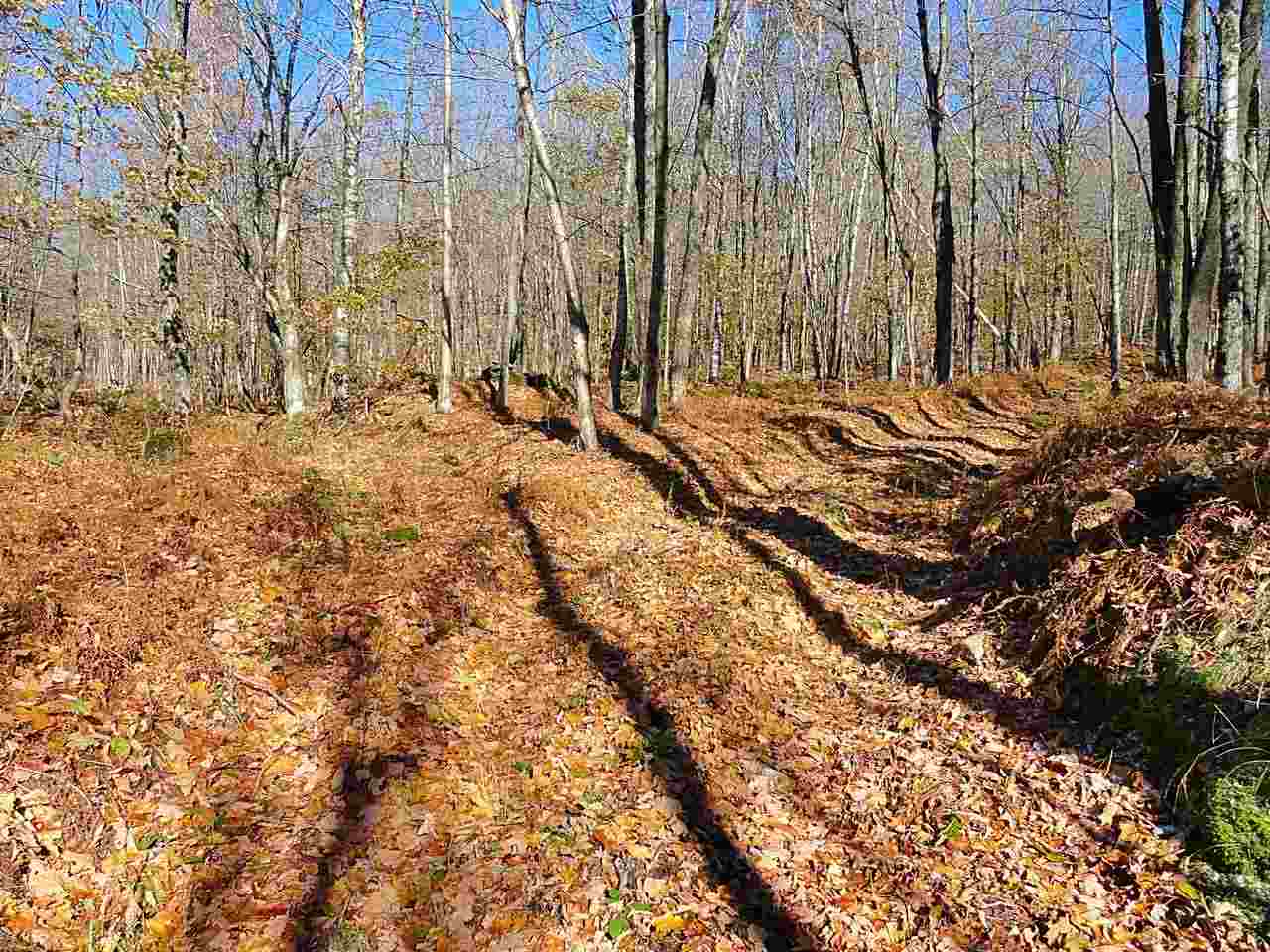 18 Row End Road