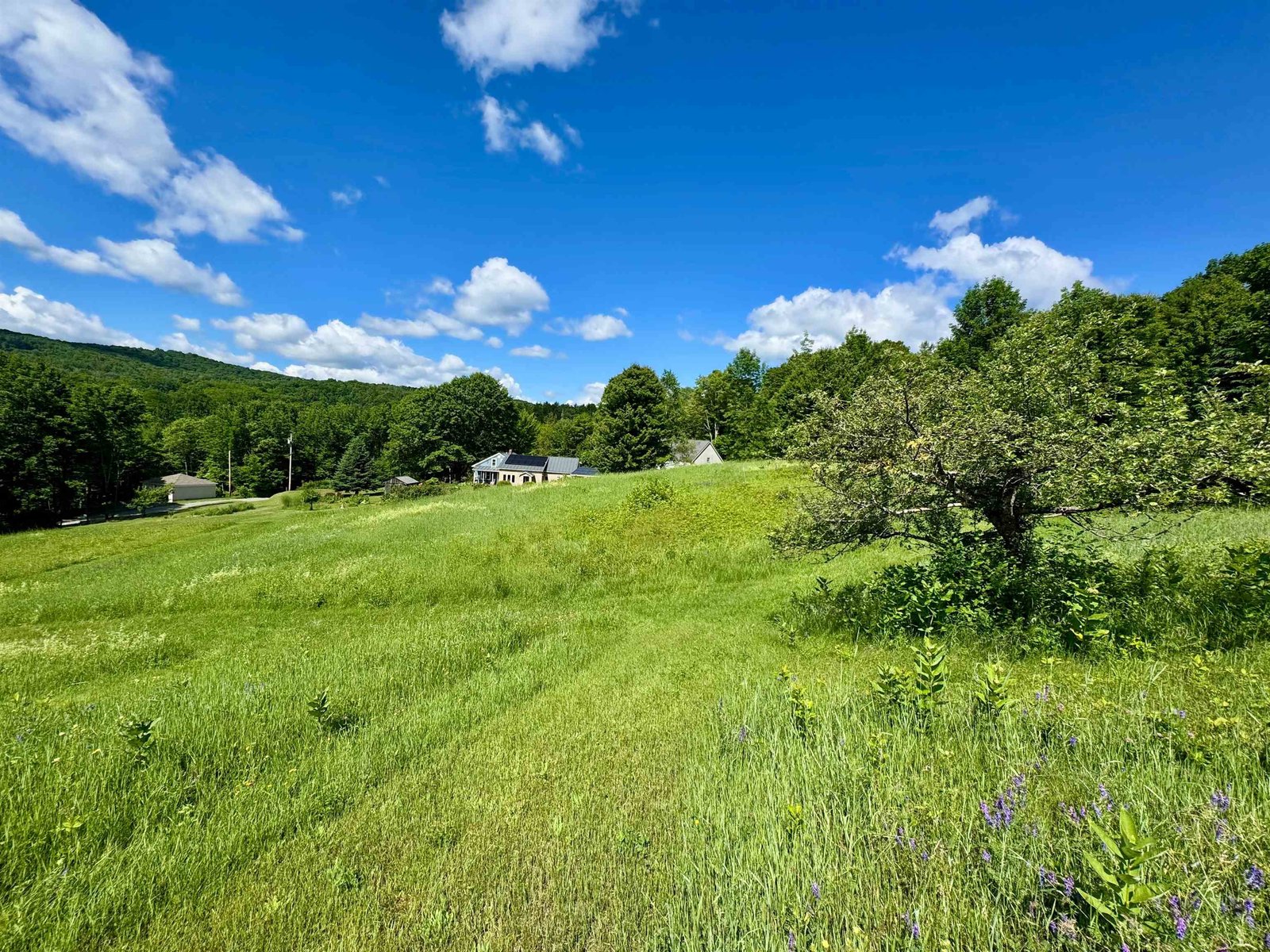 1804 Pike Hill Road