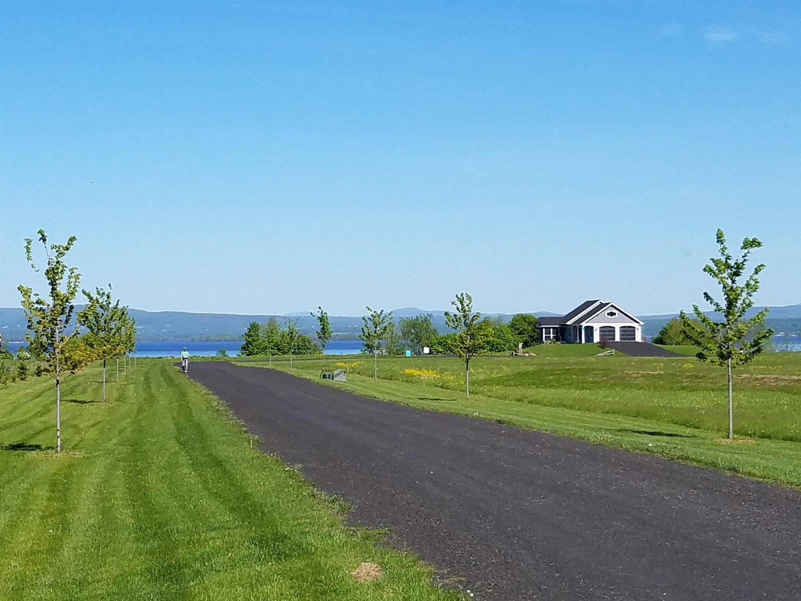 181 KNIGHTS Vista