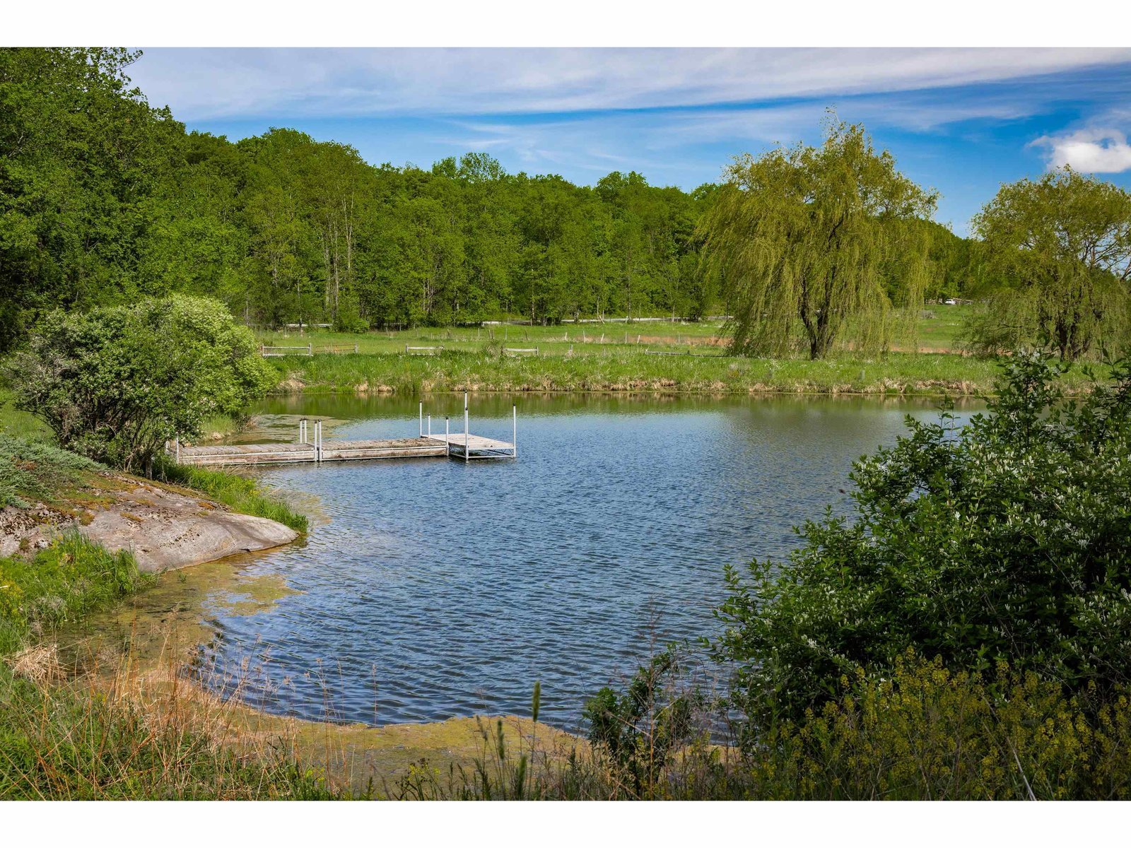 1816 Morgan Horse Farm Road