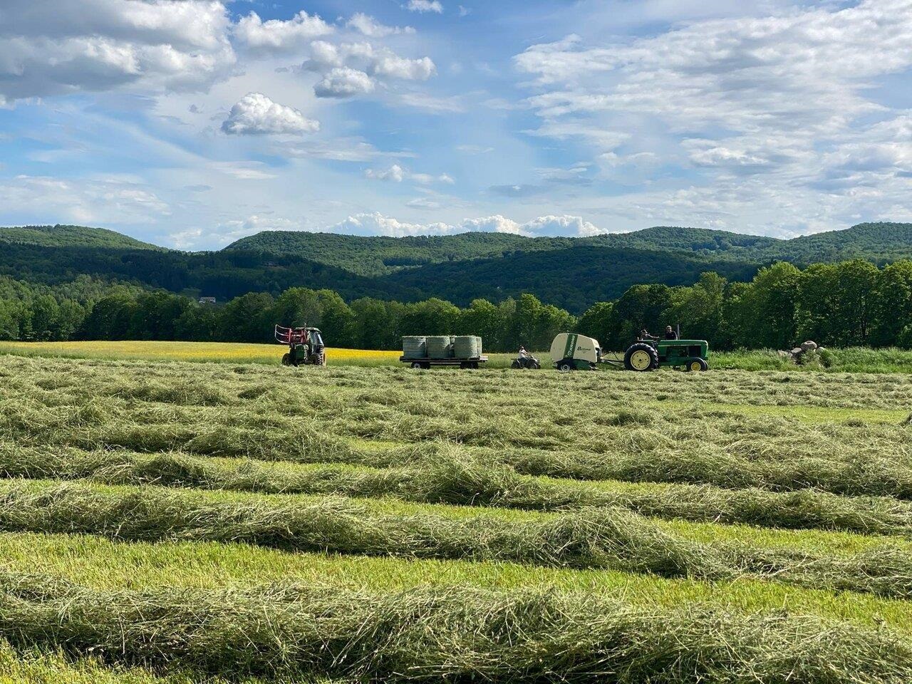 A farmer's delight!