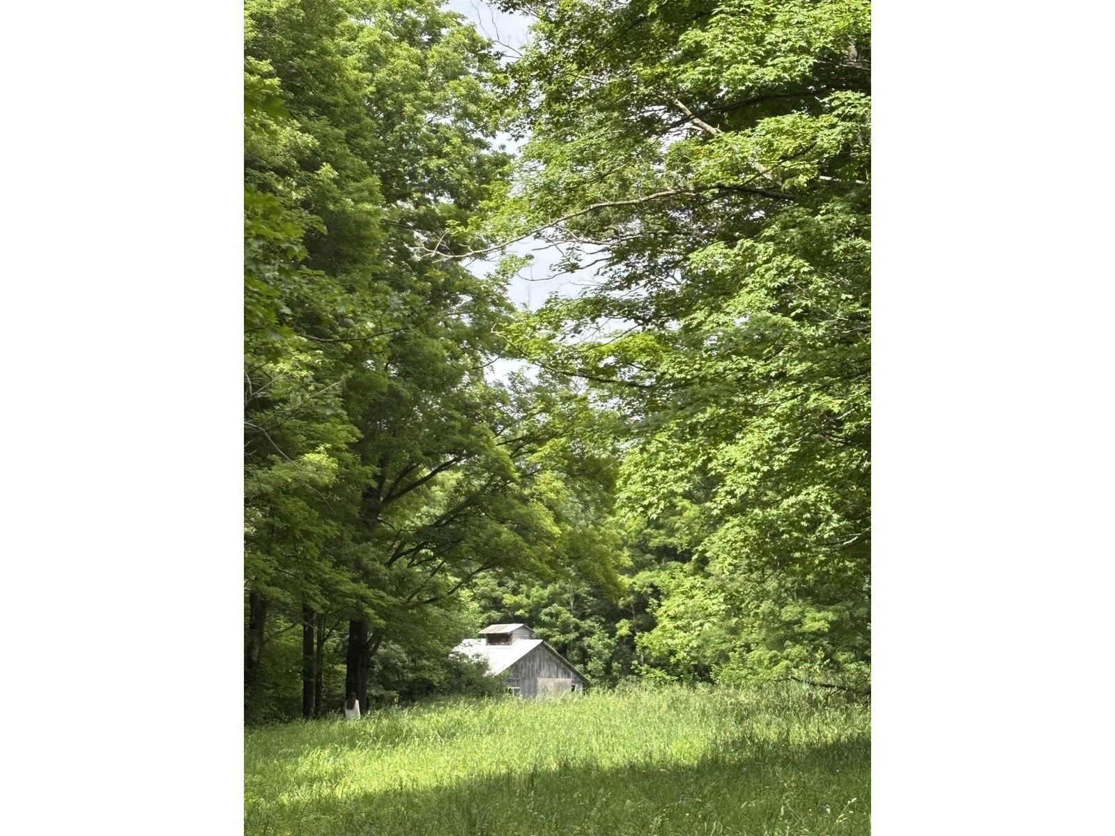 183 Morrie Road