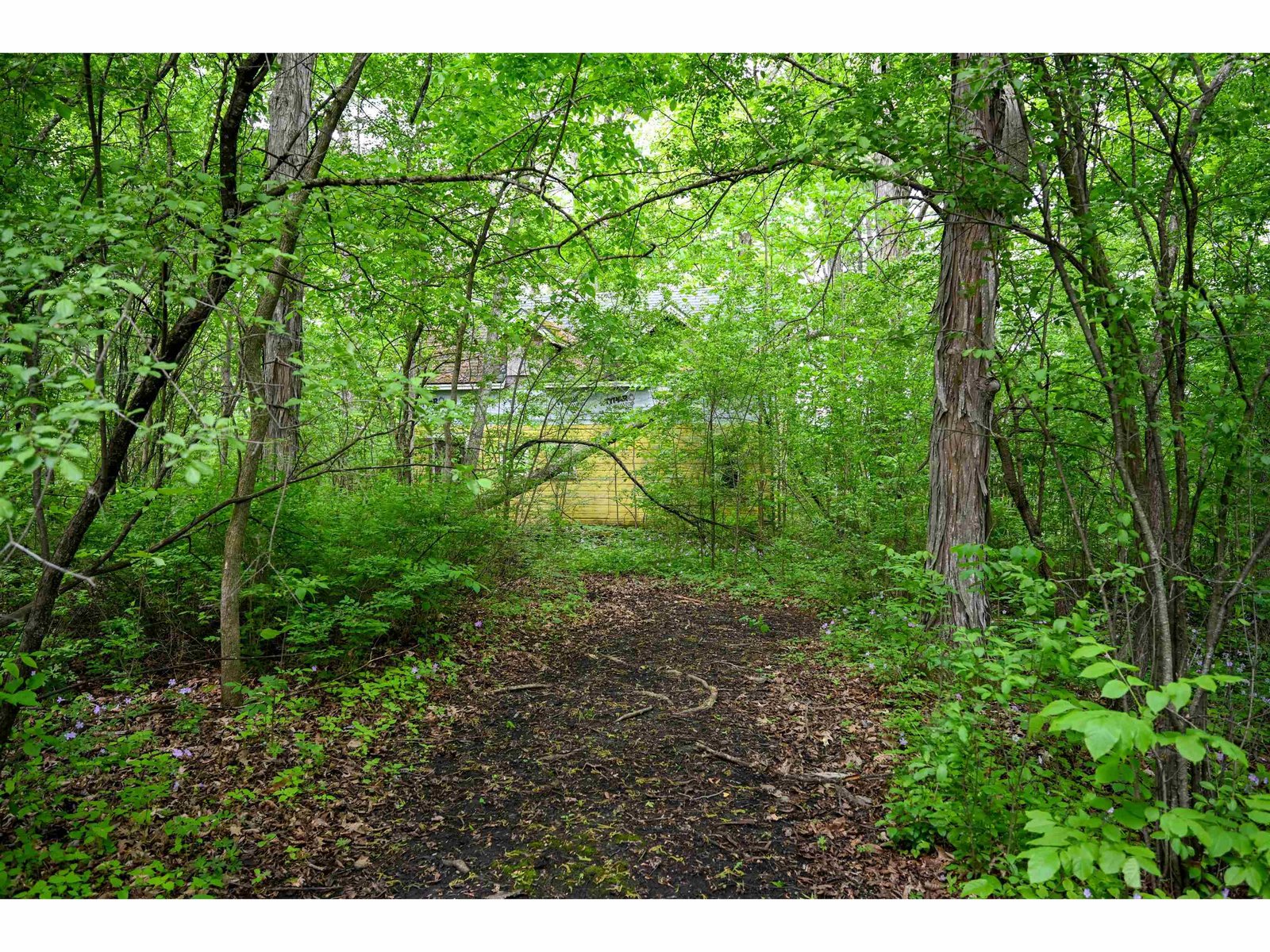 185 Holmes Lane