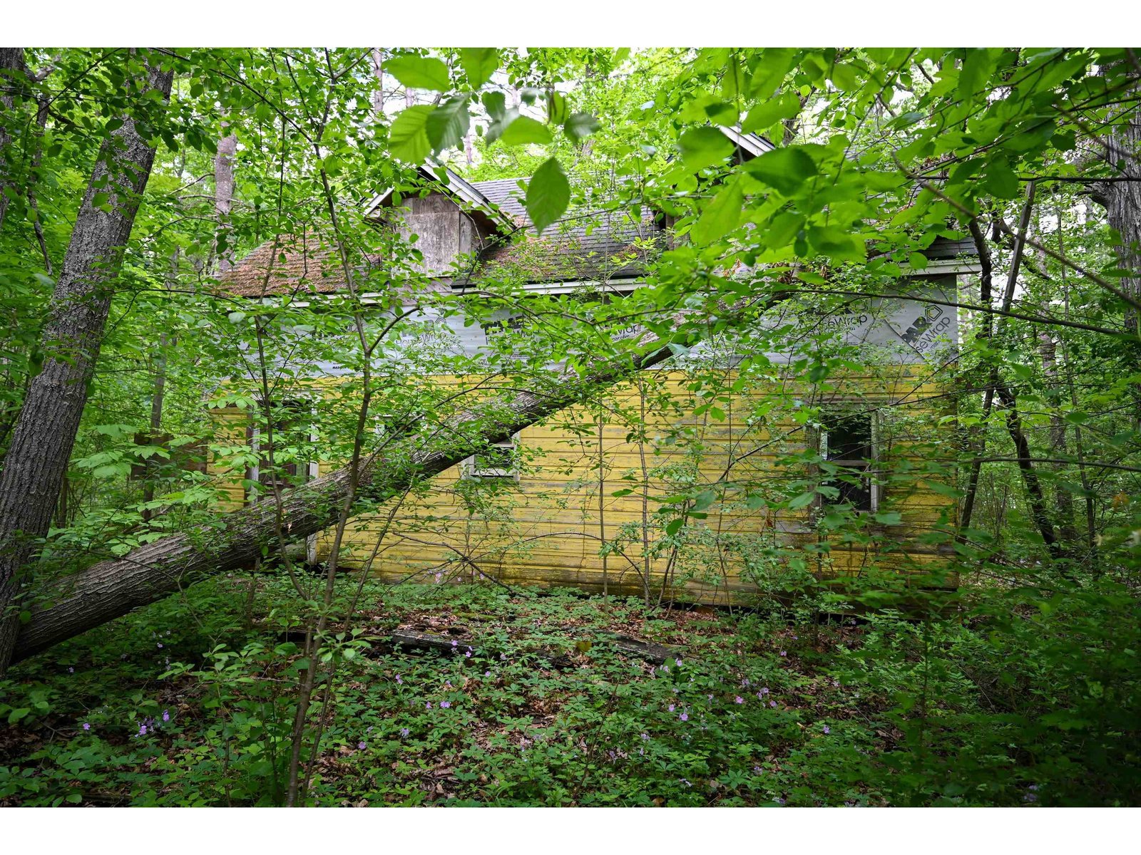 185 Holmes Lane