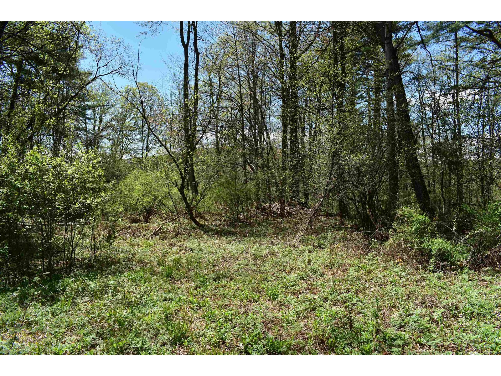 1850 Stock Farm Road