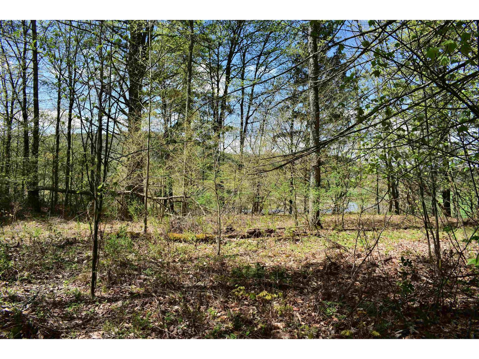 1850 Stock Farm Road