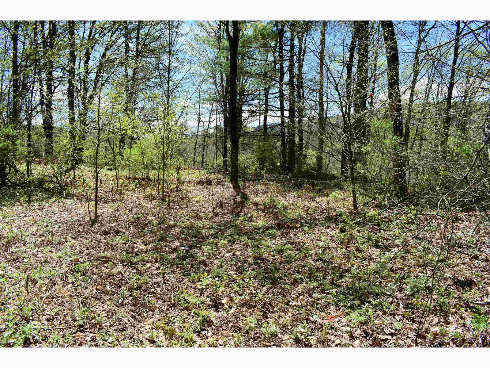 1850 Stock Farm Road