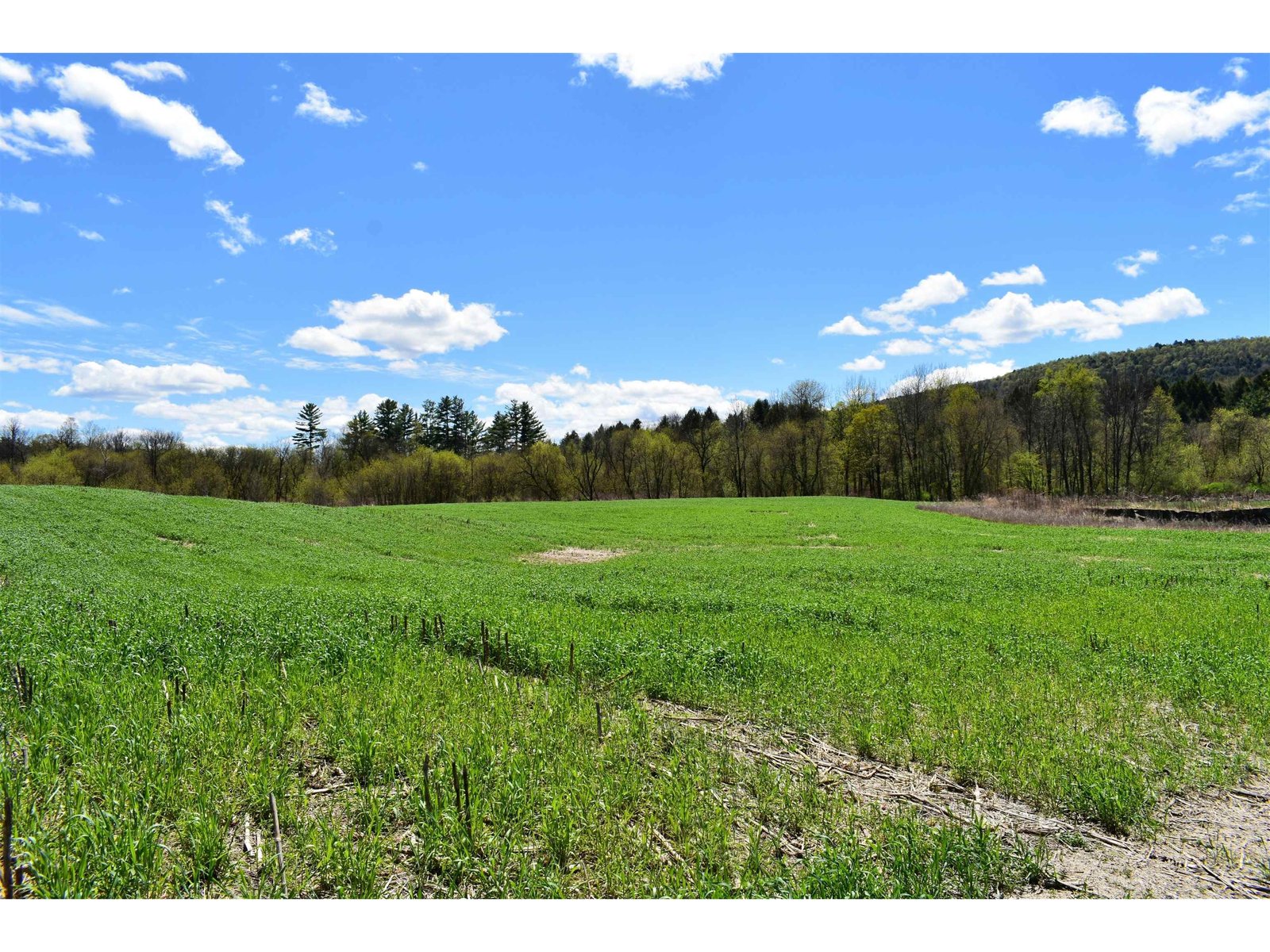 1850 Stock Farm Road