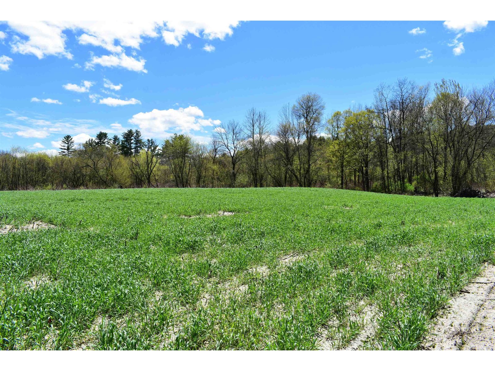 1850 Stock Farm Road
