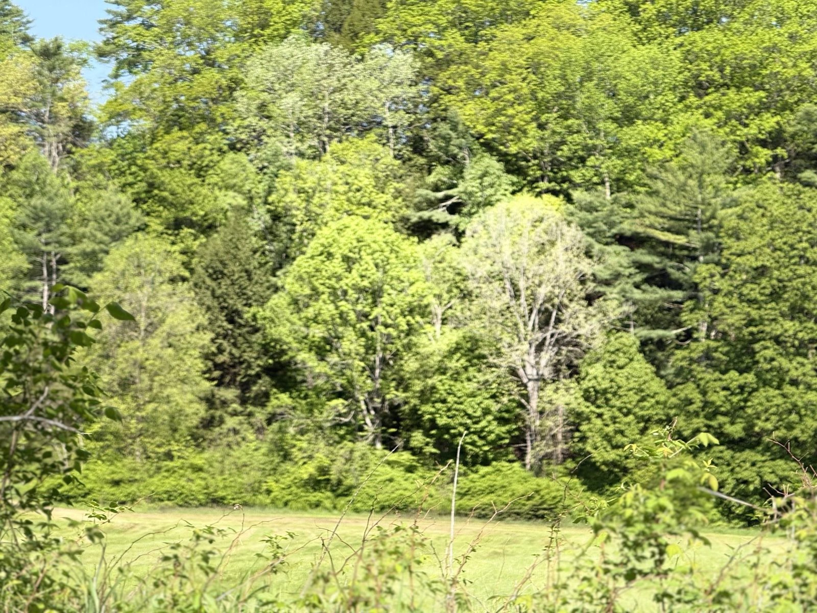 1857 Route 5