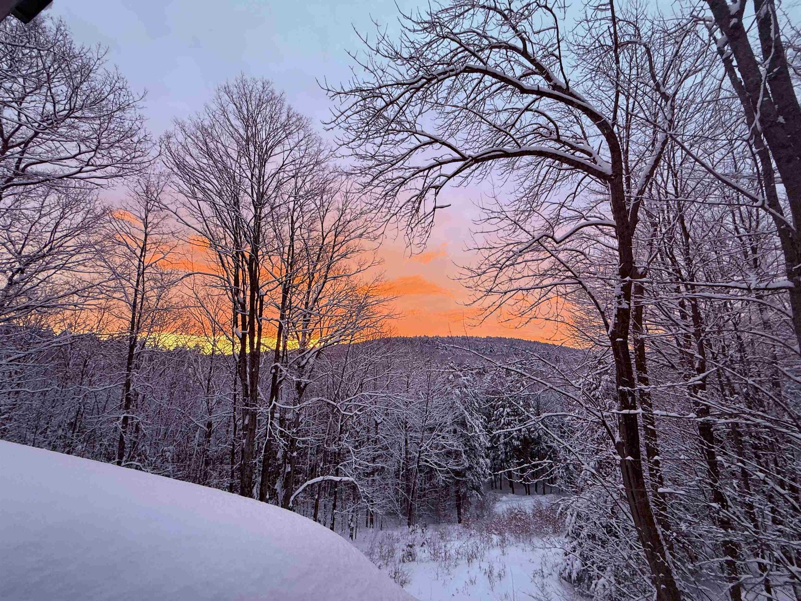 Sunrise