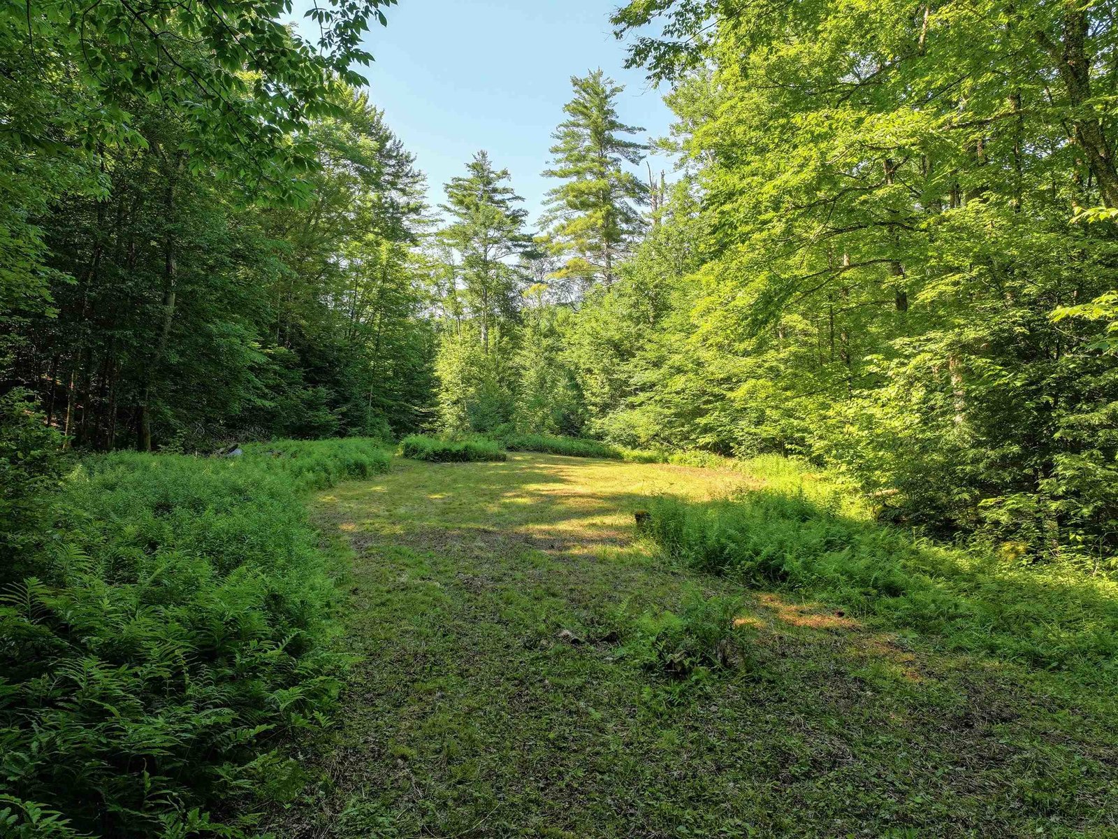 Upper Meadow