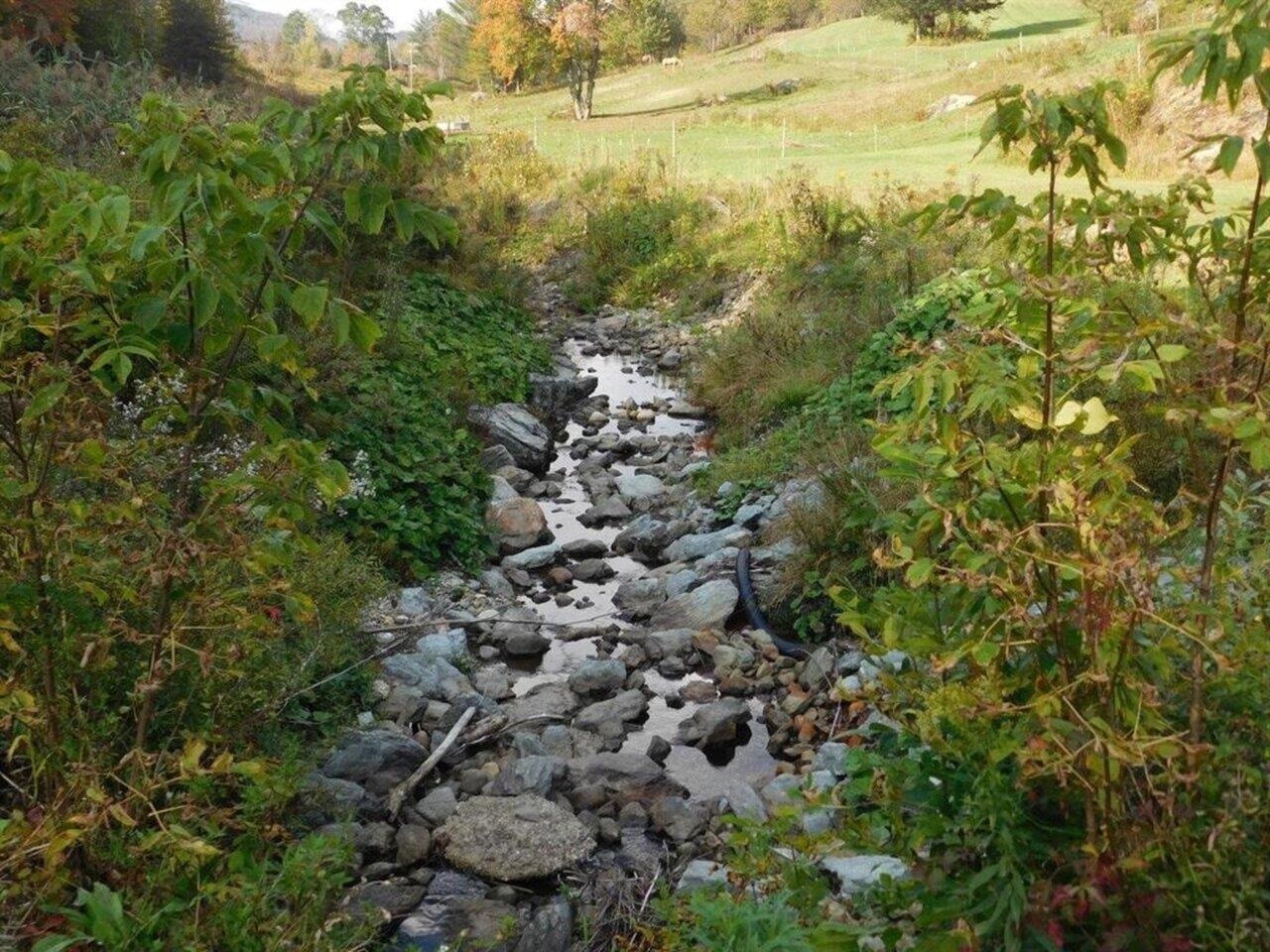 Stream