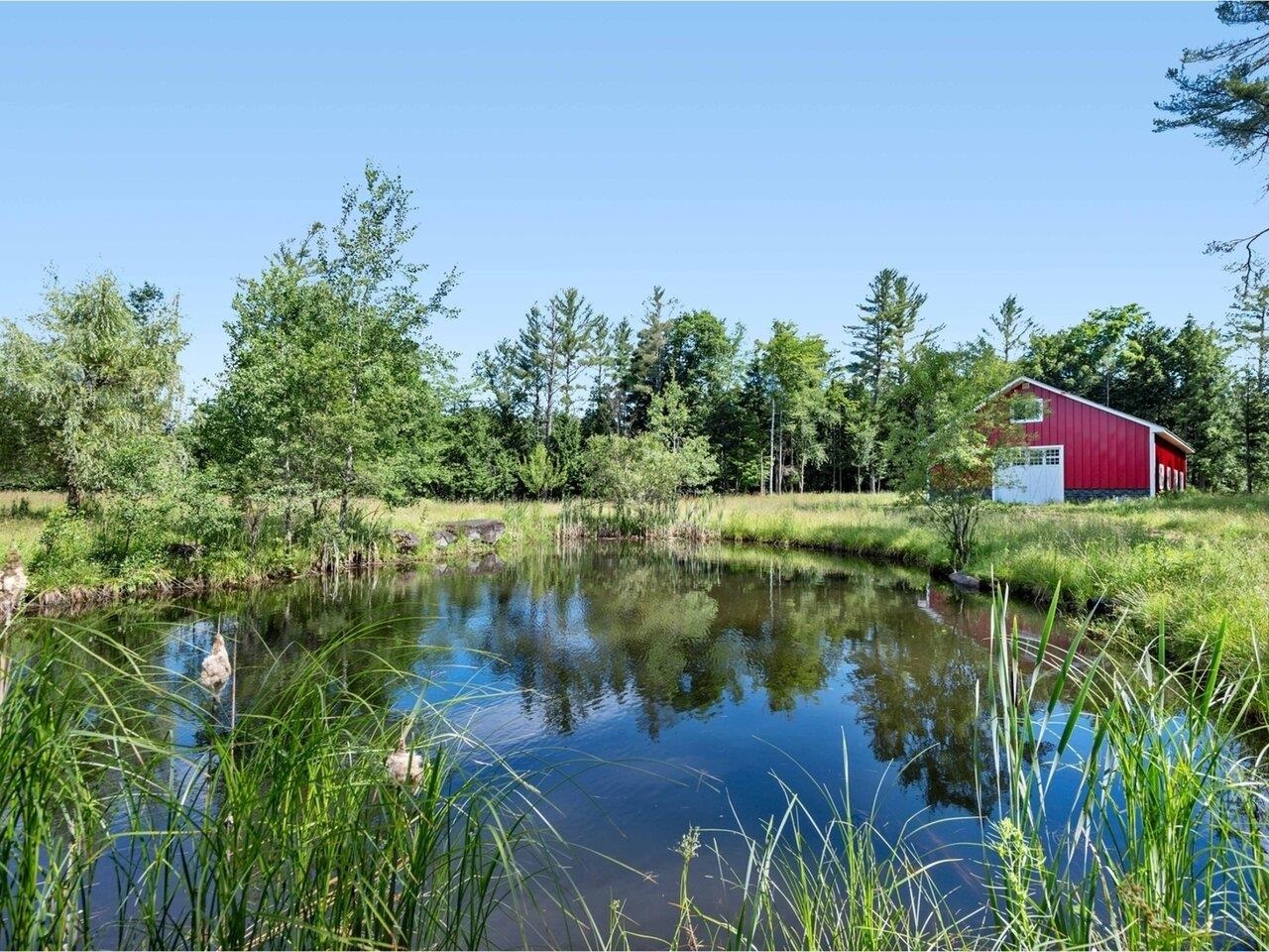 Pond