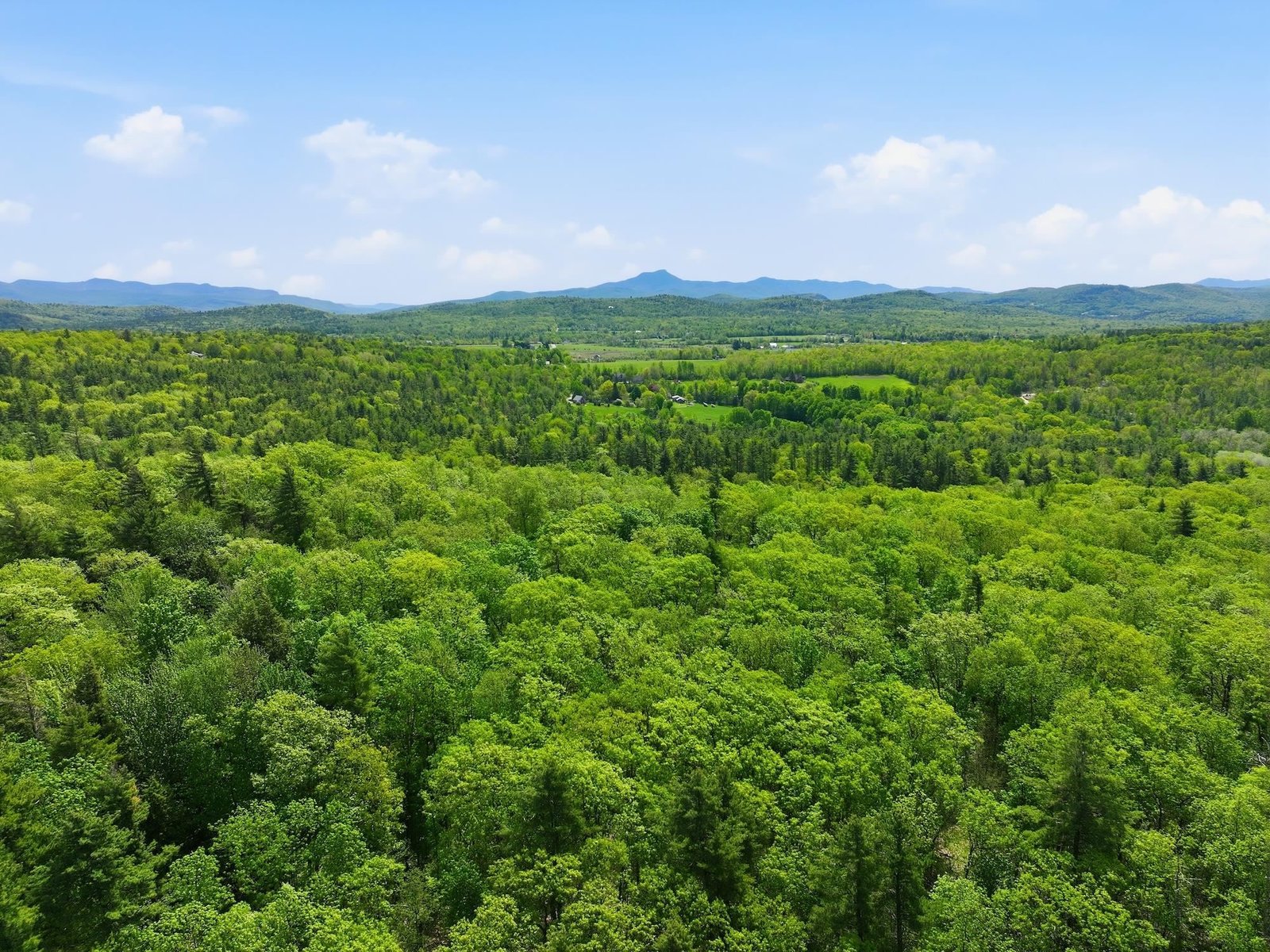 Drone Photo