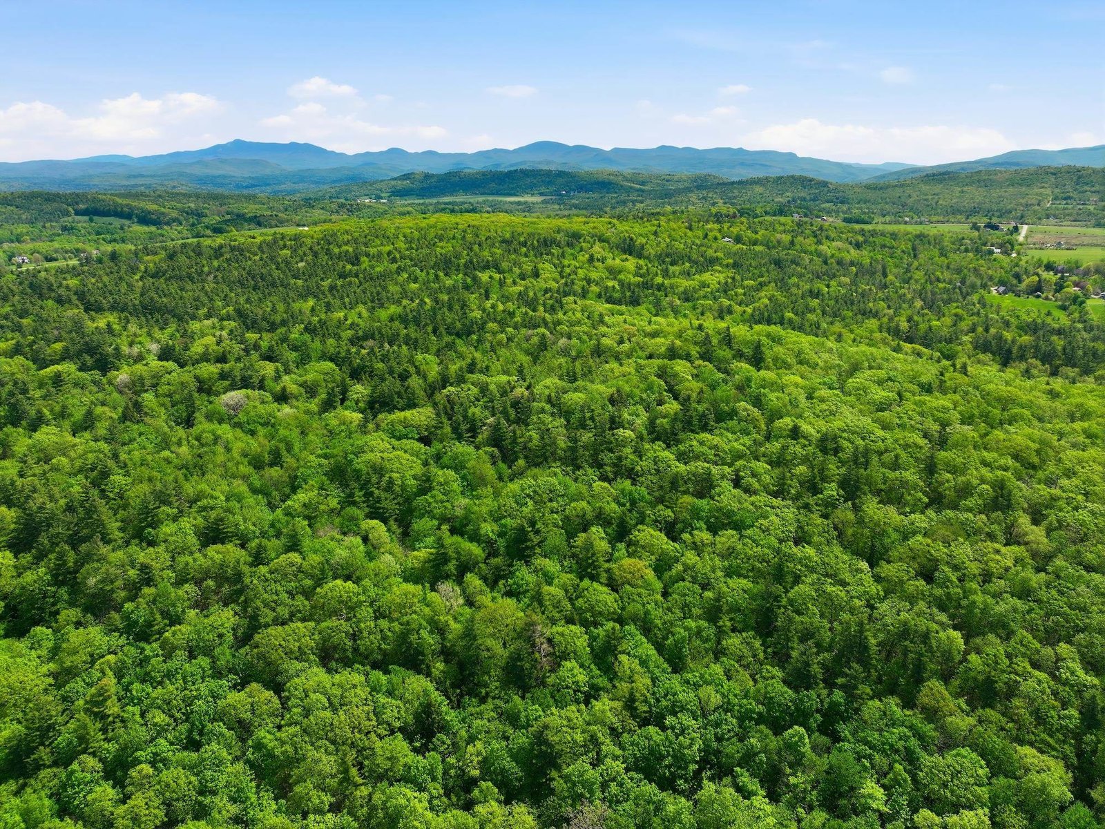 Drone photo